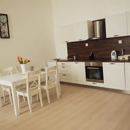 Apartment In Historical Part - Old Town Top Address Pressburg